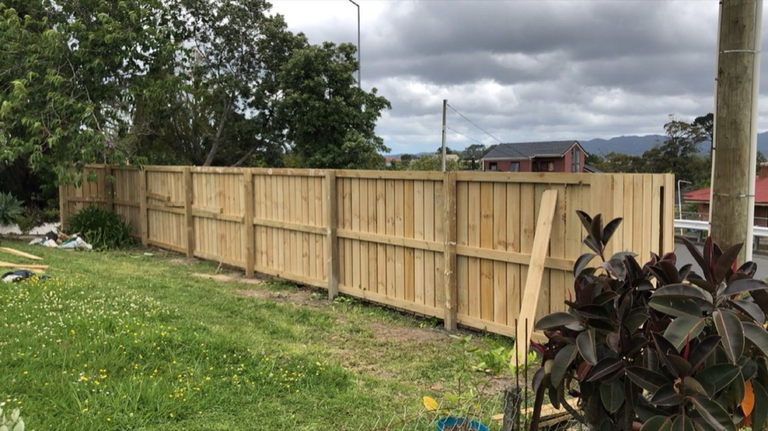 Timber boundary fence along a lawn